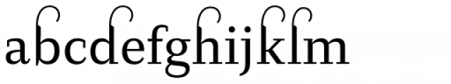 Diogenes Decorative Regular 1