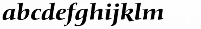 Diotima Classic Pro Bold Italic