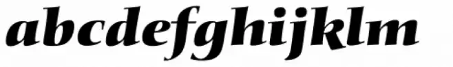 Diotima Classic Pro Heavy Italic