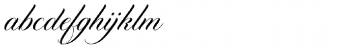 Diploma Script Basic