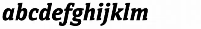Directa Serif Bold Italic