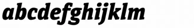 Directa Serif Heavy Italic