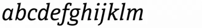 Directa Serif Italic