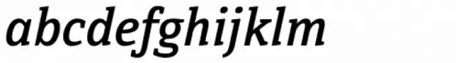 Directa Serif Medium Italic