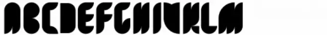 Disco Display Regular