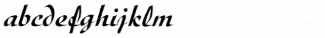 Diskus D Medium