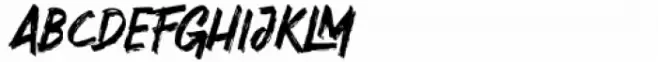 Diversal Brush Regular