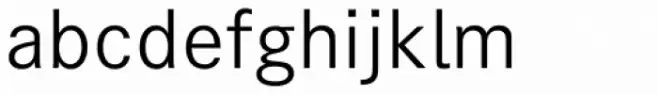 DMT Shuei Gothic Gin Std Light