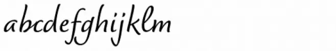 Dolce Medium