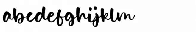 Dolphin Dolls Regular