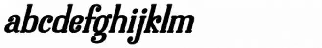 Dolphins Bold Italic