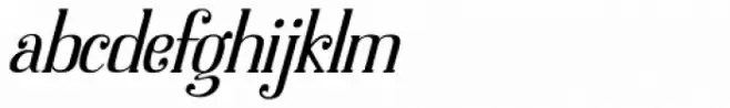 Dolphins Light Italic