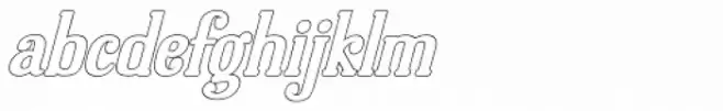Dolphins Outline Bold Italic