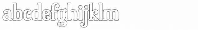 Dolphins Outline Bold