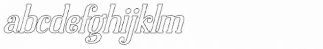 Dolphins Outline Italic