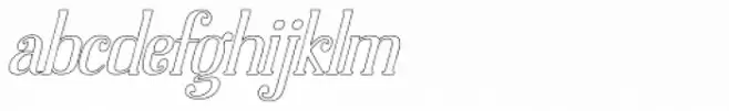Dolphins Outline Light Italic