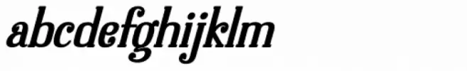 Dolphins Semi Bold Italic