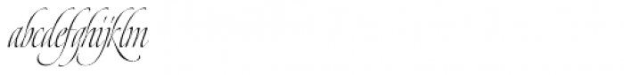 Dream Script Pro