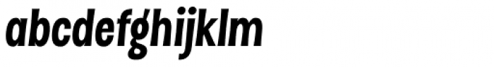 Dsert Alt Black Italic