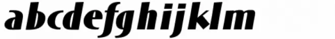 DT Skiart Black Italic
