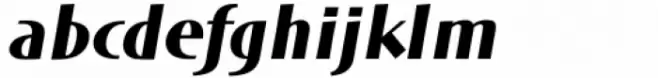 DT Skiart Extra Bold Italic