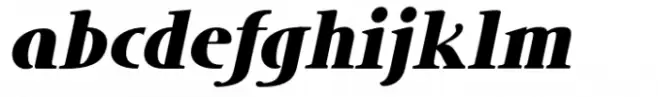 DT Skiart Lexiconic Less Black Italic
