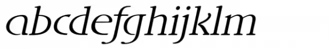 DT Skiart Lexiconic Less Italic