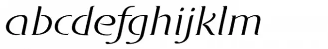 DT Skiart Serif Leaf Less Italic