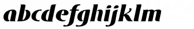 DT Skiart Serif Leaf Sub Blck Italic