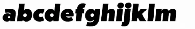 dT Jakob Black Italic