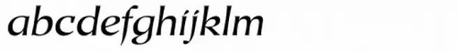 Duckweed Sans Italic