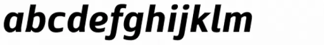 Due Bold Italic