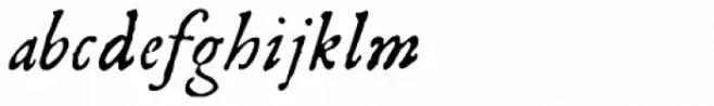 Dunelm Italic