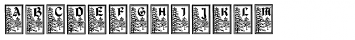 DurerGotischCapitals