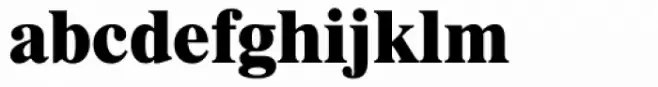 Dutch 801 Std Extra Bold