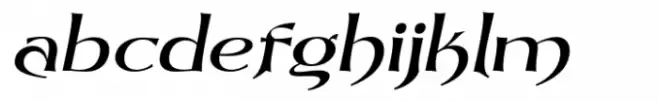 Dynasty Fantasy Light Italic