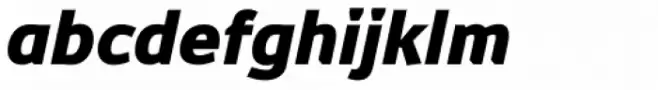 Dynasty Heavy Italic