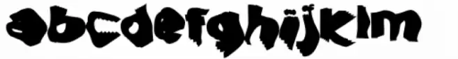 Echowarp Warp Black Type 1