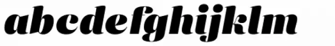 Eckhart Display Black Italic