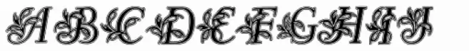 Egmontian Lined