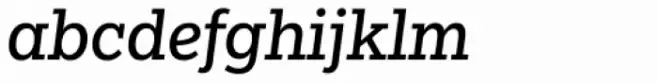 Egyptian Slate Pro Italic