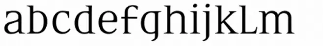 Eidetic Neo Omni