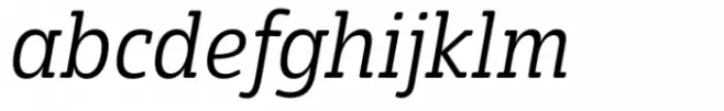 Eigerdals Slab Norm Book Italic