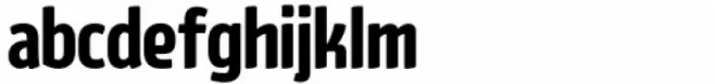 Ekaliptus Bold