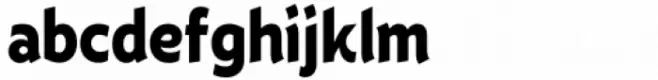 Eklekt Bold