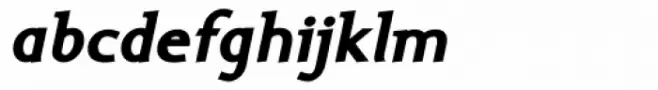 Ela Demiserif Black Italic