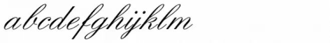 Elegant Script Pro
