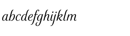 Elicit Script Variable