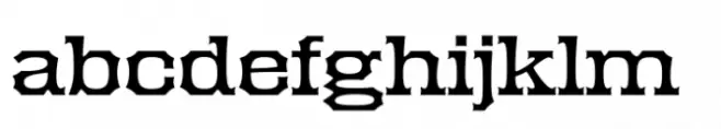 Elkdale Wide Light