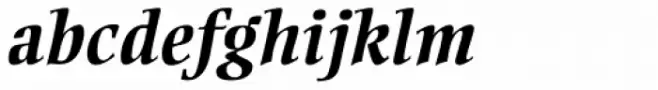 Ellington Pro Bold Italic